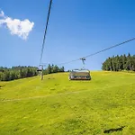 Hotel Flachauwinkl Flachau