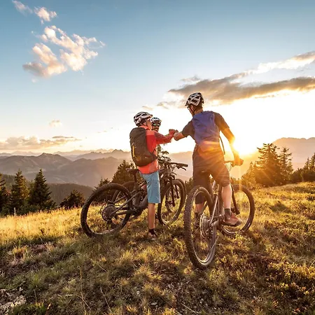 Flachauwinkl Hotell Flachau
