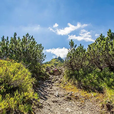 Hotel Flachauwinkl 3*