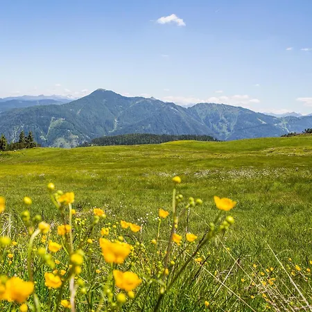 Hotel Flachauwinkl 3*