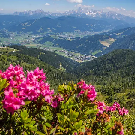 Hotell Flachauwinkl Flachau