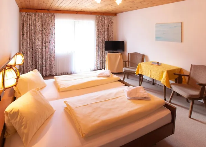 酒店 Flachauwinkl 弗拉绍