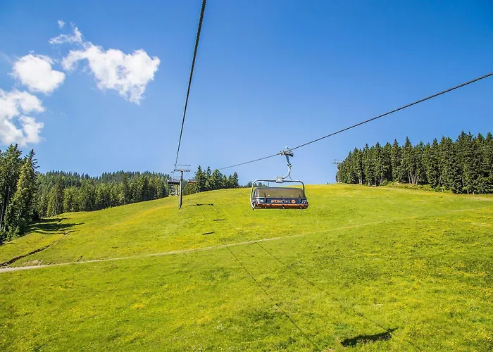 酒店 Flachauwinkl 弗拉绍