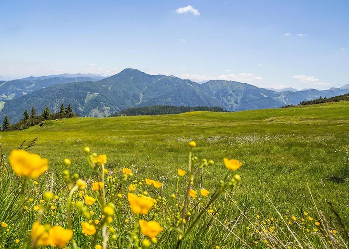 酒店 Flachauwinkl 3*