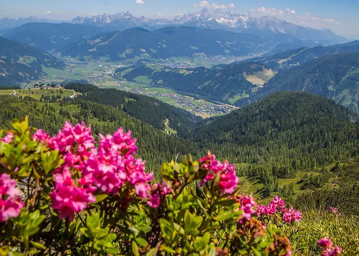 酒店 Flachauwinkl 弗拉绍