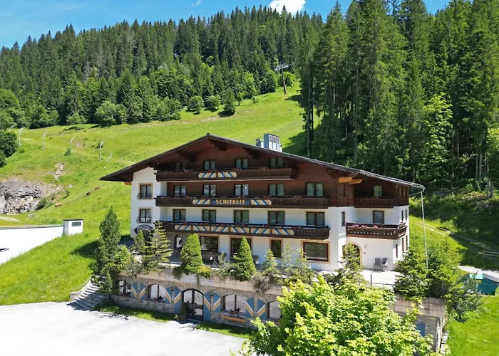 Flachauwinkl 3* 弗拉绍